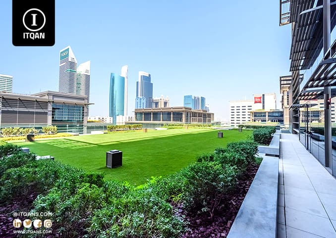 تأسيس شركة في المنطقة الحرة في دبي